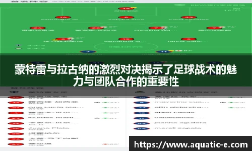 球信网平台
