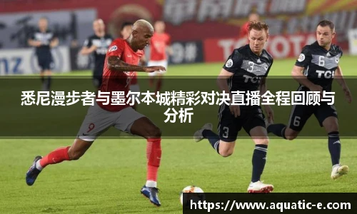 球信网平台