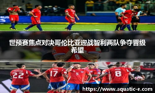 球信网官方网站