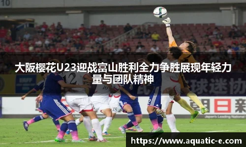 球信网APP