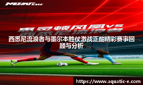 球信网